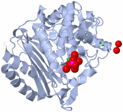 Image Biol. Unit 1 - sites