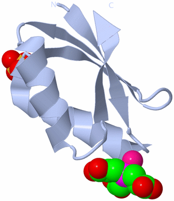 Image Biological Unit 1