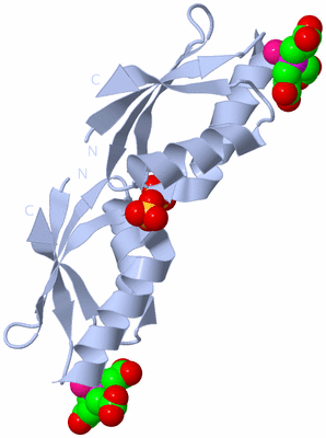 Image Biological Unit 2