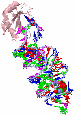 Image Biological Unit 1