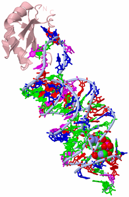 Image Biol. Unit 1 - sites