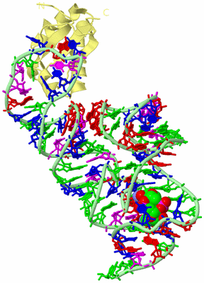 Image Biological Unit 2