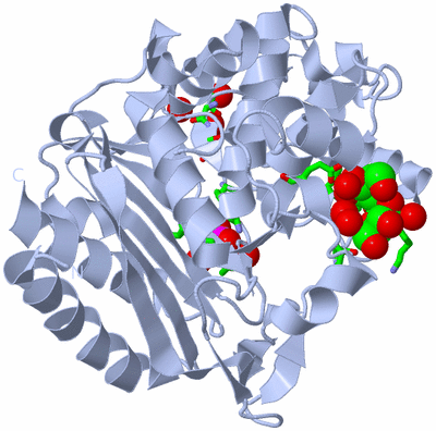 Image Biol. Unit 1 - sites