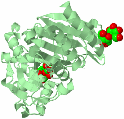 Image Biological Unit 2