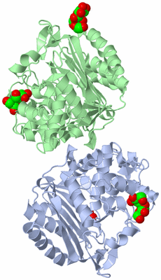 Image Biological Unit 3