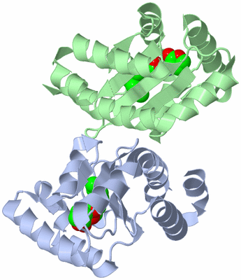 Image Asym./Biol. Unit