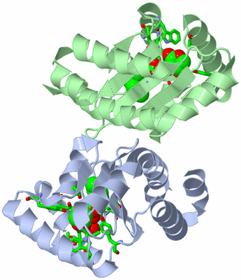 Image Asym./Biol. Unit - sites