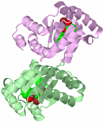 Image Biological Unit 2