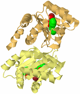 Image Biological Unit 3