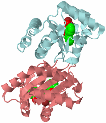 Image Biological Unit 4