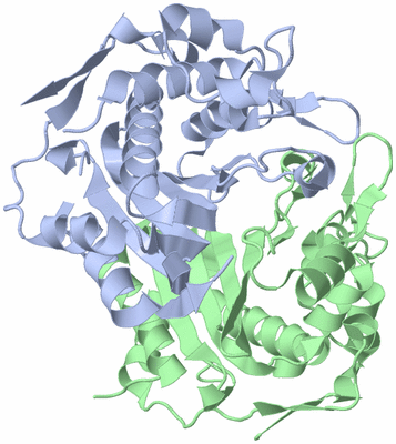 Image Asym./Biol. Unit