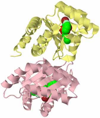 Image Biological Unit 2