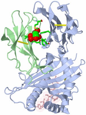 Image Biol. Unit 1 - sites