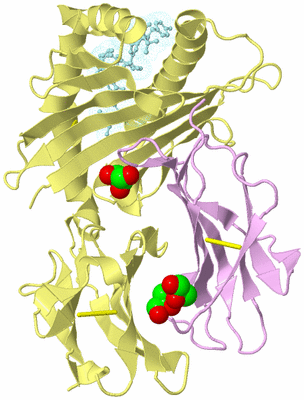 Image Biological Unit 2