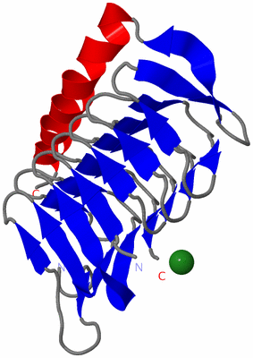 Image Asymmetric Unit