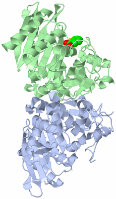 Image Biological Unit 3