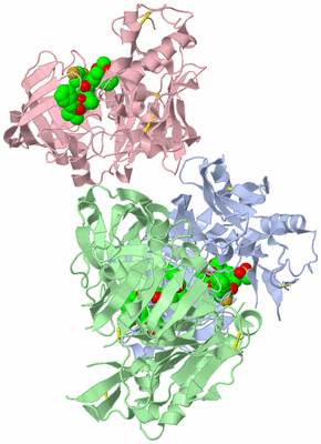 Image Asymmetric Unit