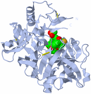 Image Biological Unit 1