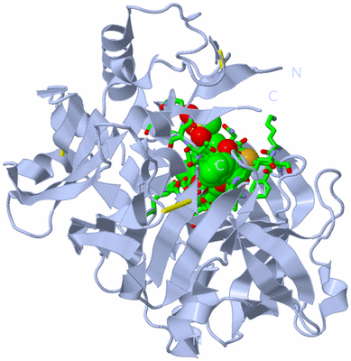 Image Biol. Unit 1 - sites