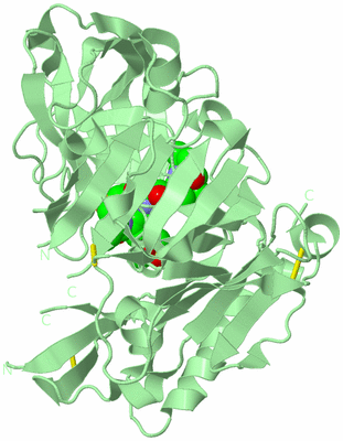 Image Biological Unit 2