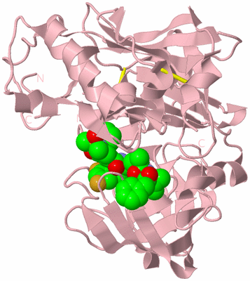 Image Biological Unit 3