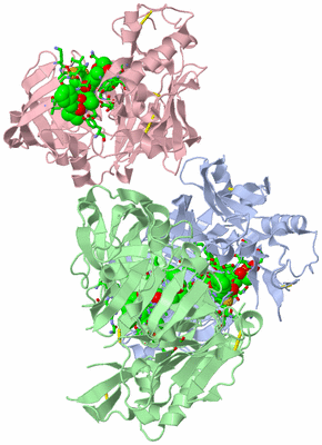 Image Asym. Unit - sites