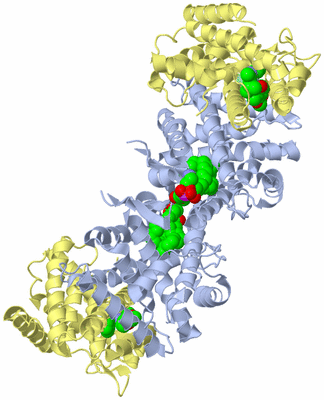 Image Biological Unit 1