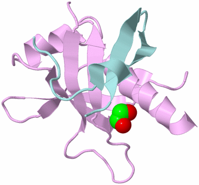 Image Biological Unit 3