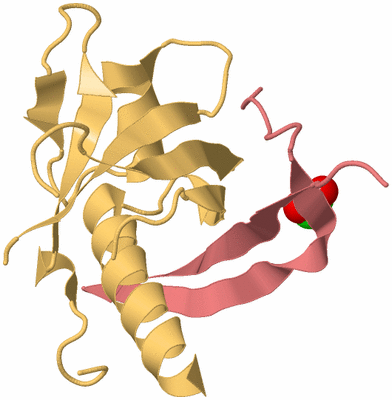 Image Biological Unit 4