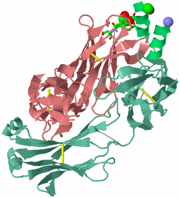 Image Biol. Unit 1 - sites