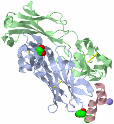 Image Biological Unit 2