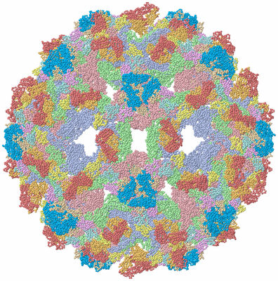 Image Biological Unit 1