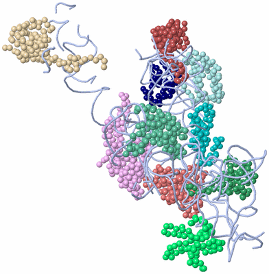 Image Asym./Biol. Unit