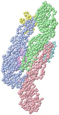 Image Asymmetric Unit