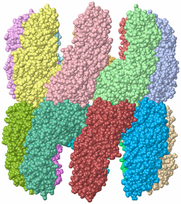 Image Asym./Biol. Unit