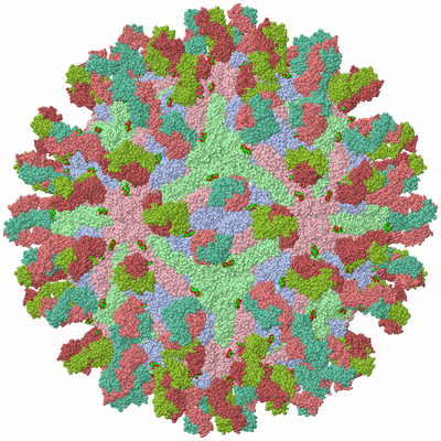 Image Biological Unit 1