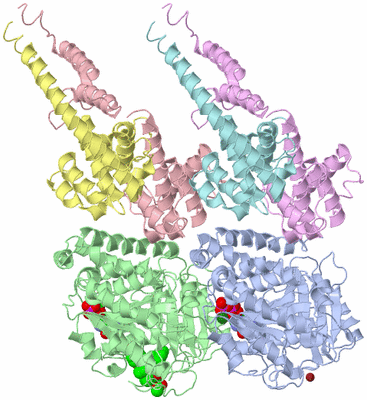 Image Asym./Biol. Unit