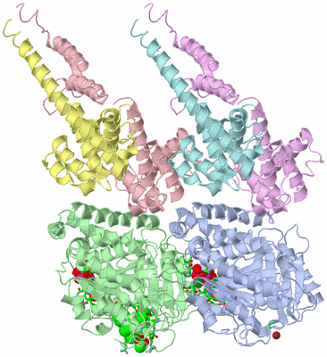 Image Asym./Biol. Unit - sites