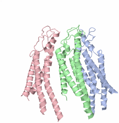 Image Asymmetric Unit