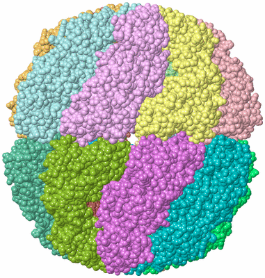 Image Asym./Biol. Unit