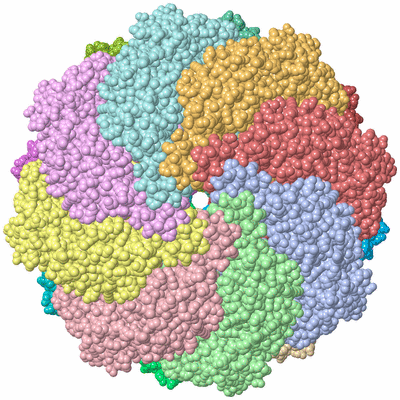 Image Asym./Biol. Unit