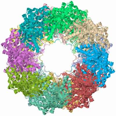 Image Asym./Biol. Unit