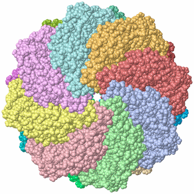 Image Asym./Biol. Unit