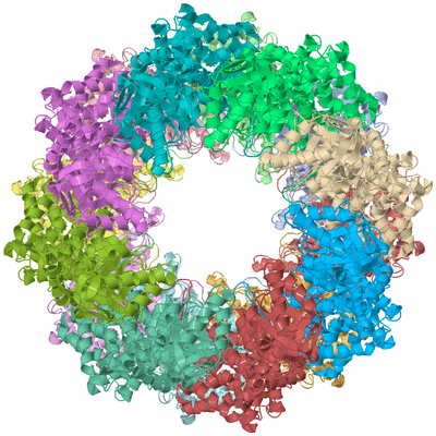 Image Asym./Biol. Unit