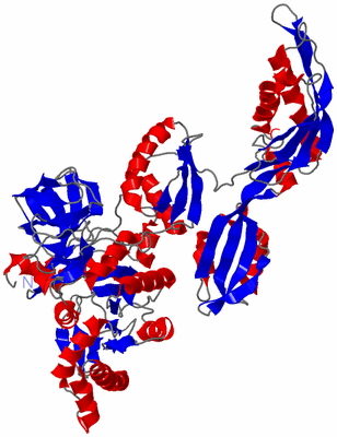 Image Asym./Biol. Unit