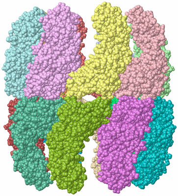 Image Asym./Biol. Unit