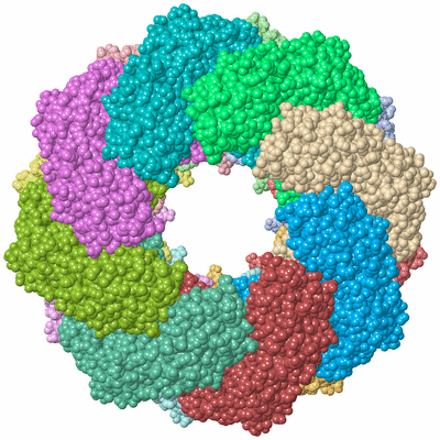 Image Asym./Biol. Unit