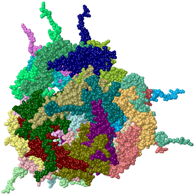 Image Asym./Biol. Unit