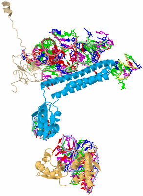 Image Asym./Biol. Unit