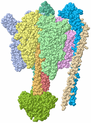 Image Asym./Biol. Unit - sites